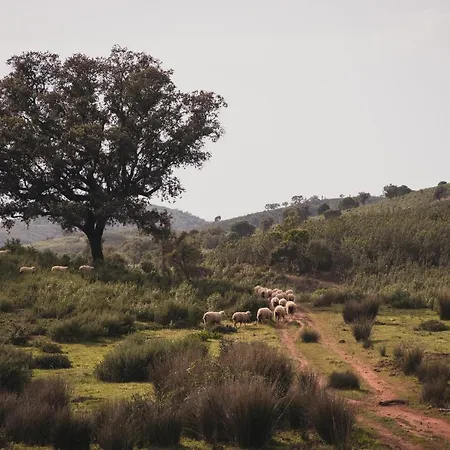 Séjour à la campagne Quinta Do Freixo *
