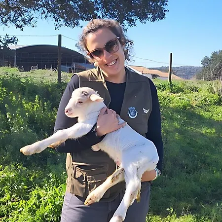 Feriegård Quinta Do Freixo Benafim