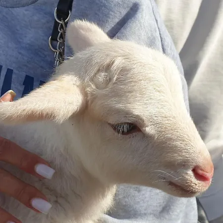Quinta Do Freixo Benafim
