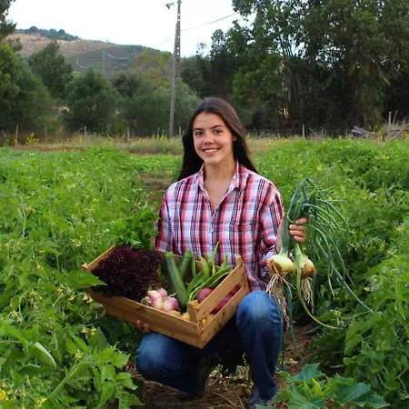 Quinta Do Freixo Benafim