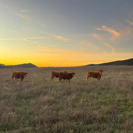 Quinta Do Freixo Vakantieboerderij *