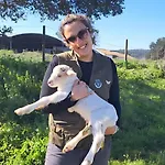 Farm stay Quinta Do Freixo Benafim