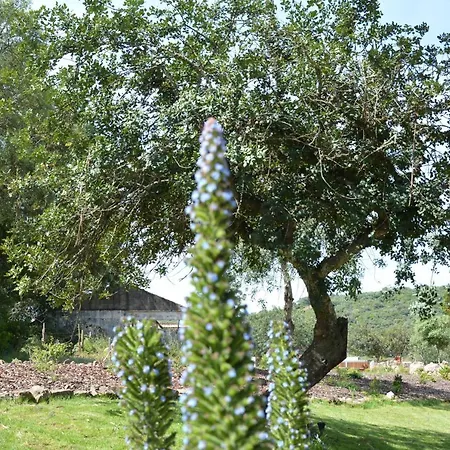 Quinta Do Freixo