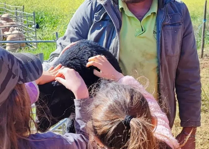 Κατάλυμα σε φάρμα Quinta Do Freixo *