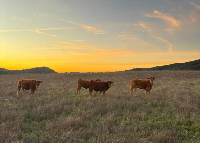 Quinta Do Freixo Alojamento de Turismo Rural *